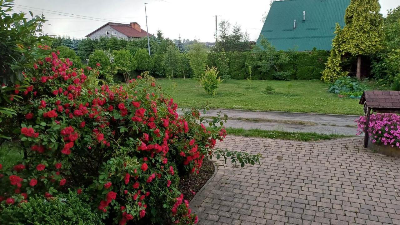 Agroturystyka Agnieszki Murszewskiej 桑多梅日 外观 照片
